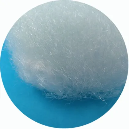 Chemical Raw Material: Coarse Denier Nylon Fiber 60D 76MM