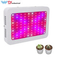 Best Led Grow Lights For Indoor Plants 1000w