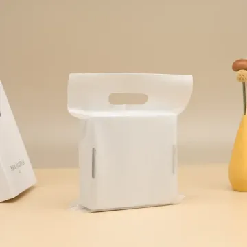 أكياس بلاستيكية مخصصة للبلاستي