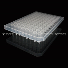 Denbora errealeko PCR plaka 0,2ml
