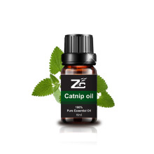 Catnip Essential Oil 100% Pure Oil for Diffuser Massage