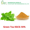 Natürliches Antioxidans Grüntee-Extrakt EGCG-Pulver