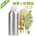 Carrot seed oil basic beauty oil skin care