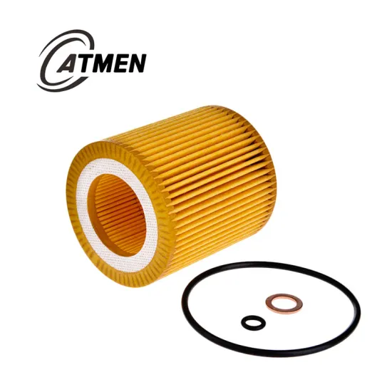 Customized Chinese Factory Oil Filter Brand HU816X 11427566327
