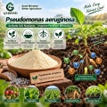 مسحوق الميكروبات Pseudomonas aeruginosa لتطبيقات البحوث الزراعية