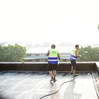 Factory SBS APP Waterproof Material - 4mm Waterproofing Bitumen Felt Roof Membrane