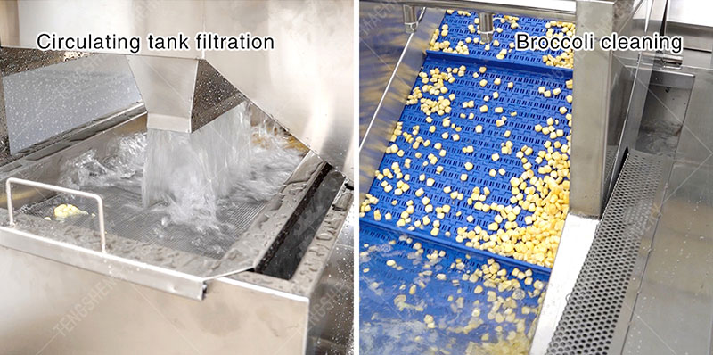 Large commercial vegetable washing machine