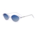 Retro Oval Acetate Sunglasses