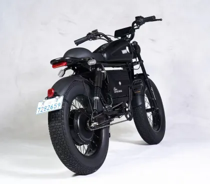 Hosh High-Speed 48V/60V 1500W/3000W Ebike with Shimano Smart Controller