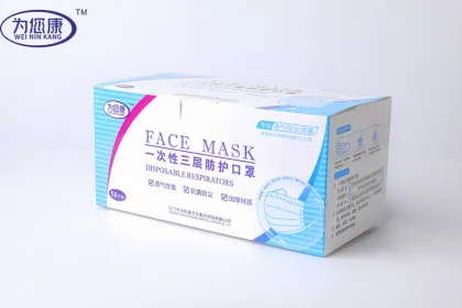 Ordinary disposable protective mask