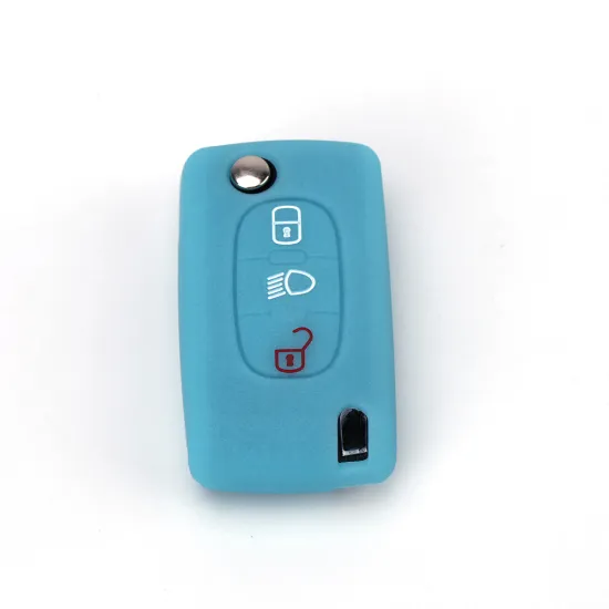 Popular Citroen key fob housing