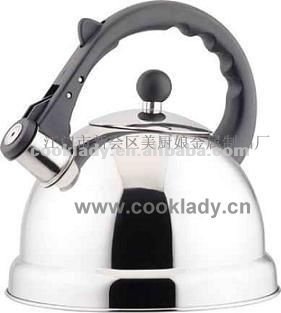 metal water kettle CL4290