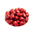 organiczne czerwone daktyle Jujube Bulk