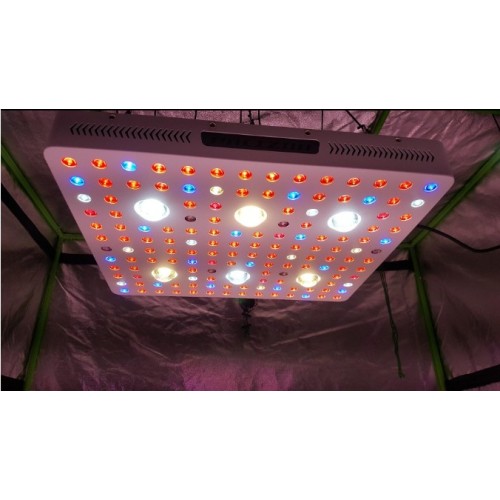 LED LED COB a spettro completo Luci di coltivazione