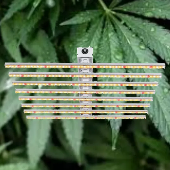 6400K Led Grow Light Green Custom