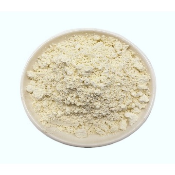 Factory price ginseng biloba ingredients powder for Hair