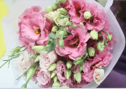 High Quality Colorful Eustoma Fresh Cut Flowers from China