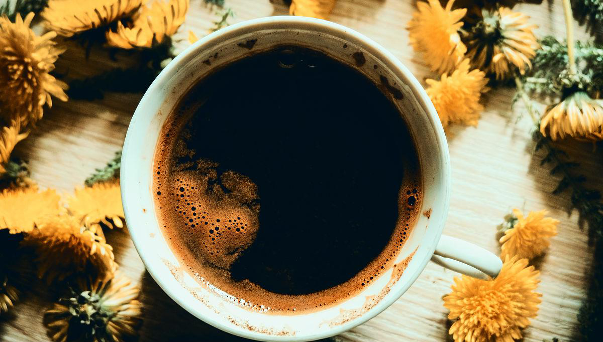 dandelion coffee