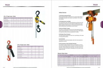 electric or manual chain hoist