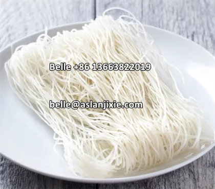 Commercial Vermicelli Rice Noodle Making Machine: Pasta Extruder for Thin Rice Noodles