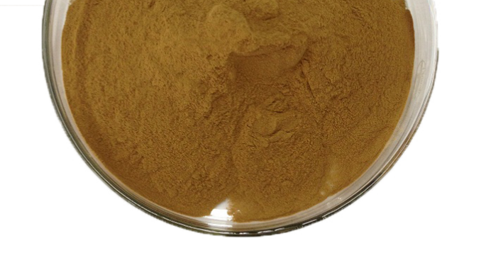 Reishi Mushroom Extract Png