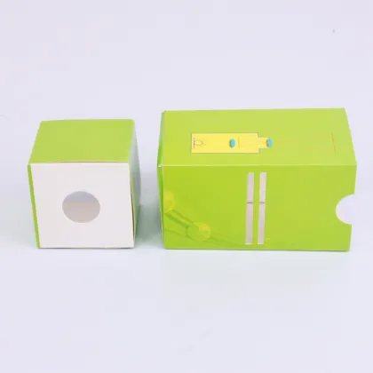 DIY Paper Slide Projector Educational Toy Science Kit