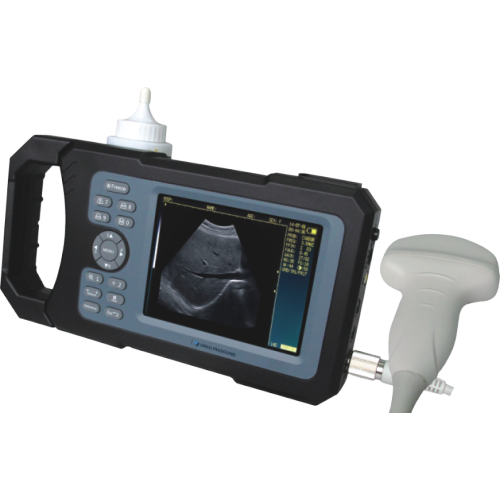 Sheep Ultrasound Scanner New Handheld Full-digital Ultrasound Scanner Supplier