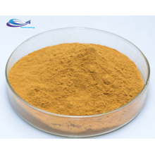 Natural Macleaya Cordata Extract /Powder Macleaya