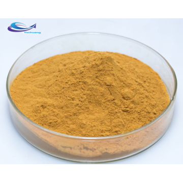 Natural Macleaya Cordata Extract /Powder Macleaya