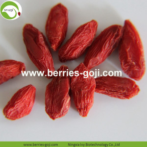 Toptan Süper Yiyecekler Göz Boynunu Geliştiriyor Goji Berry Zhongning