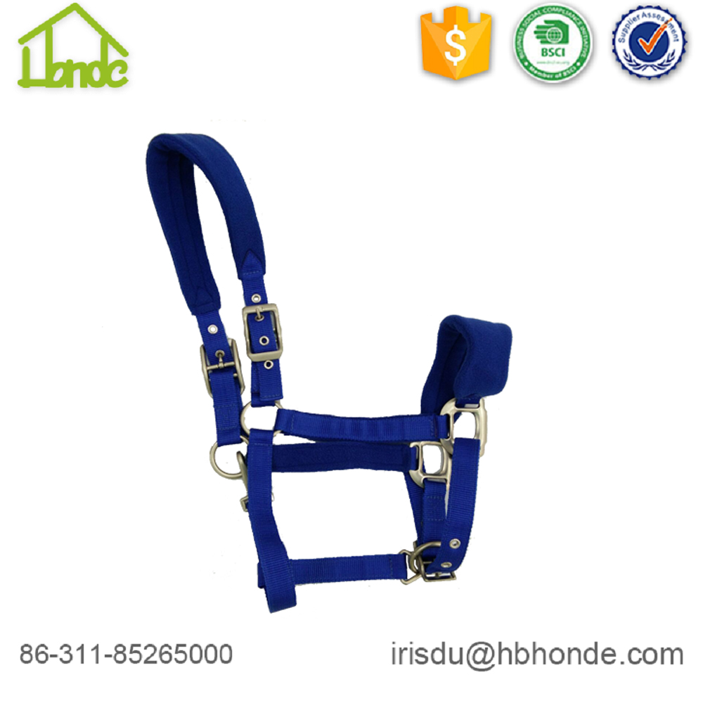 royal blue horse halter