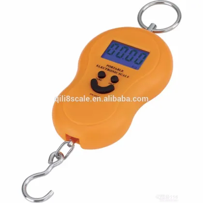 Hanging scale type china digital dried fish scale with battery