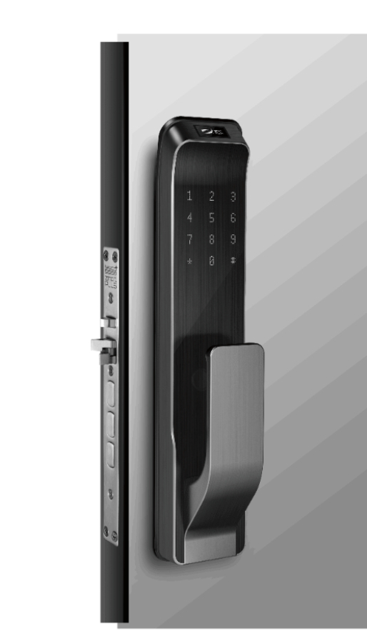 Grey - 12