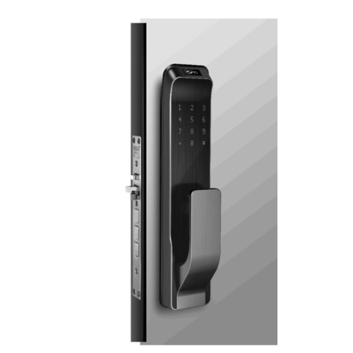 Digital Smart Door Lock App Key Card Passwort