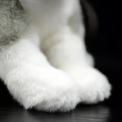 Lifelike Siberian Husky Plush Toy