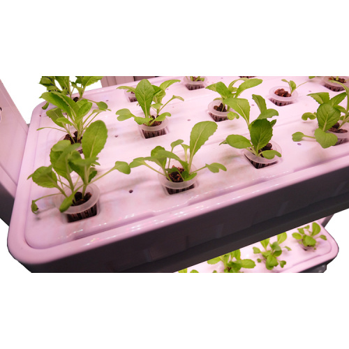 Bluetooth Control Vertical Lighting Hydroponic Systems