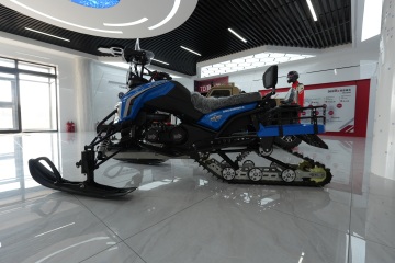 Utility snowmobile for sale