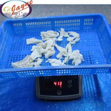Global Fish Fresh High Quality Frozen Hake Fillet Fresh Cod Fish