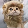 Kitten simulation lion head headgear