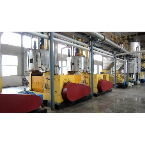 Plant Oil Extraction Expeller