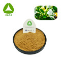 Honegsukle Flower Extract Powder 10: 1