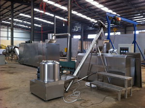 Automatic Foalting Fish Food Machine/ Production Line/ Processing Line (CY65-II, CY70-II, CY85-II)