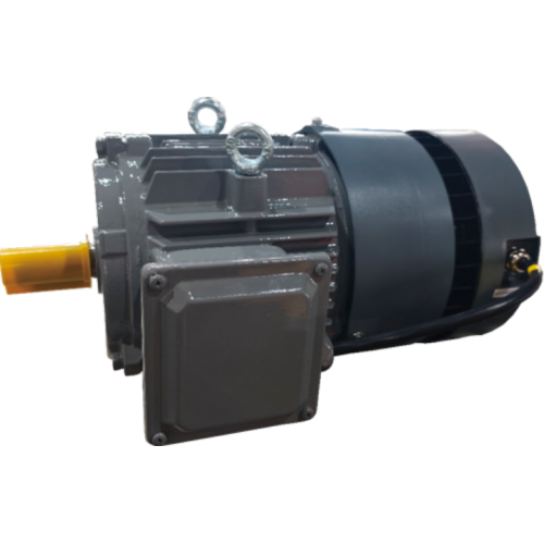 তিন পর্যায় PMSM