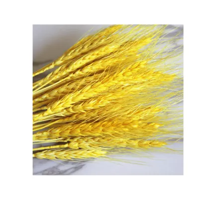 Pastoral Dried Wheat Flower Wreath - Home Decor & Event Occasion Use