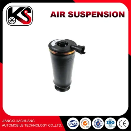 Low Price Shock Absorber W220-ARNOTT PART C-2242 Air Suspension