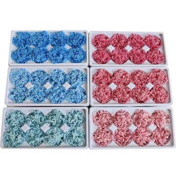 Hochwertige natürliche konservierte Nelkenköpfe 8pcs Box - Ewige Blüten für die Dekoration, Muttertag, Valentinstag, Abschluss