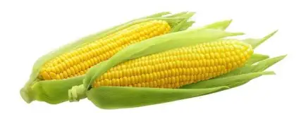 Zeaxanthin Beadlets 5% HPLC
