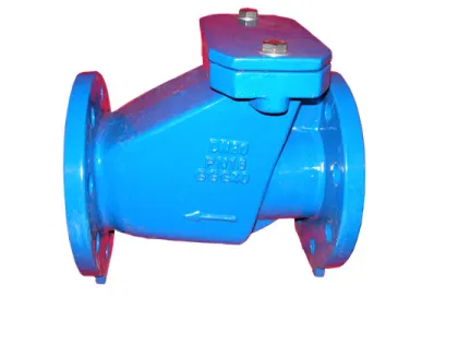 Cast Iron Check Valve