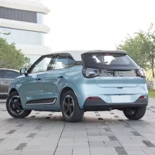 Dongfeng Aeolus Nano 01 2024 Compact EV