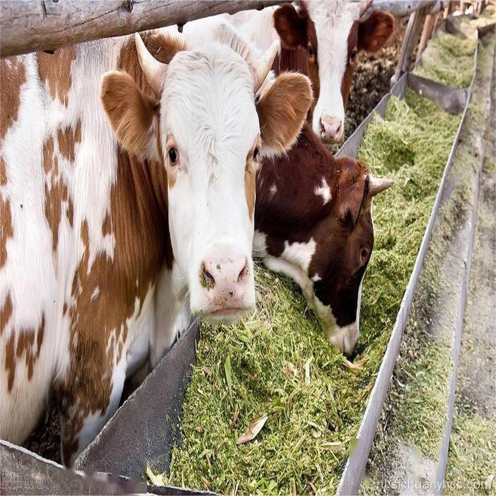 Vitamine K3 in dierlijke veehouderij